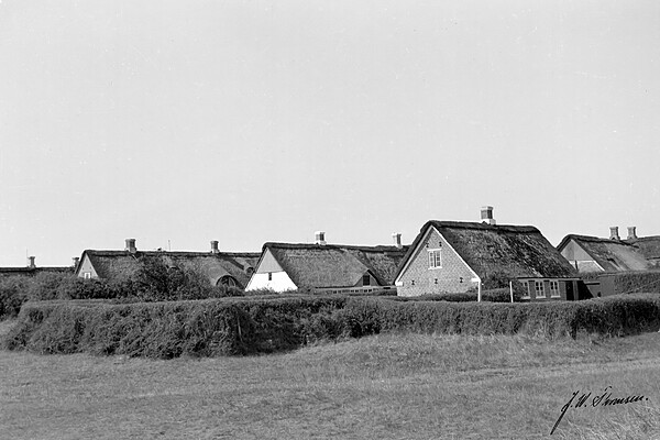 S&oslash;nderho: &AElig; kalvkrog i S&oslash;nderho